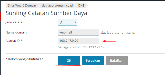 Cara Mengatur Record DNS di Hosting Unlimited