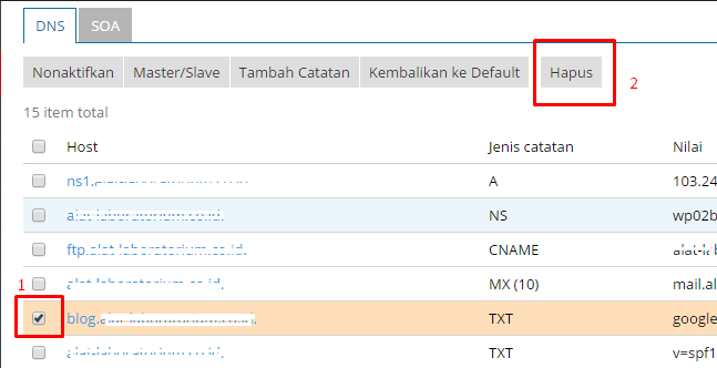 Cara Mengatur Record DNS di Hosting Unlimited