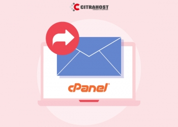 Cara Membuat Email Auto Reply di cPanel