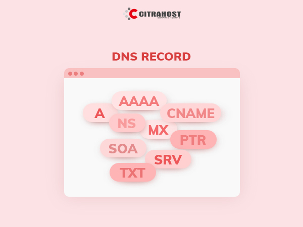 Cara Mengatur Record DNS di Hosting Unlimited