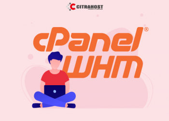 PERBEDAAN ANTARA CPANEL DENGAN WHM