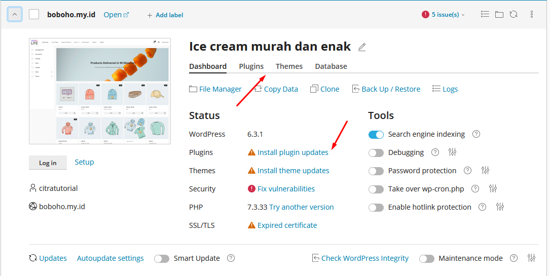 update wordpress